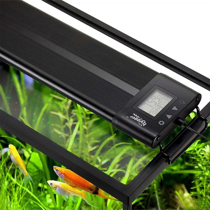 Guía de Iluminación LED para Acuarios Plantados: Lo que Necesitas Saber