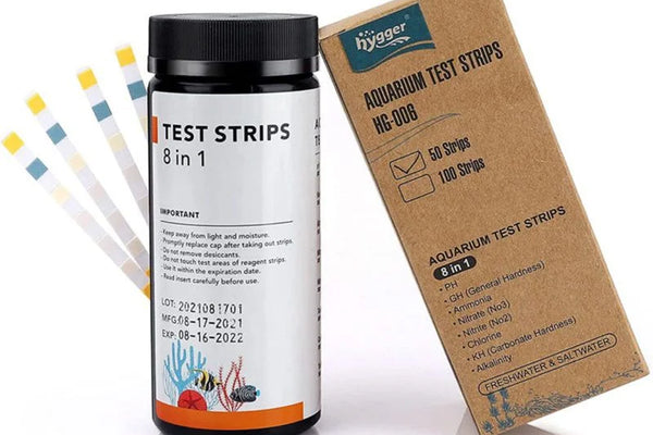 Mantenimiento Semanal del Acuario: Tu Checklist en 30 Minutos