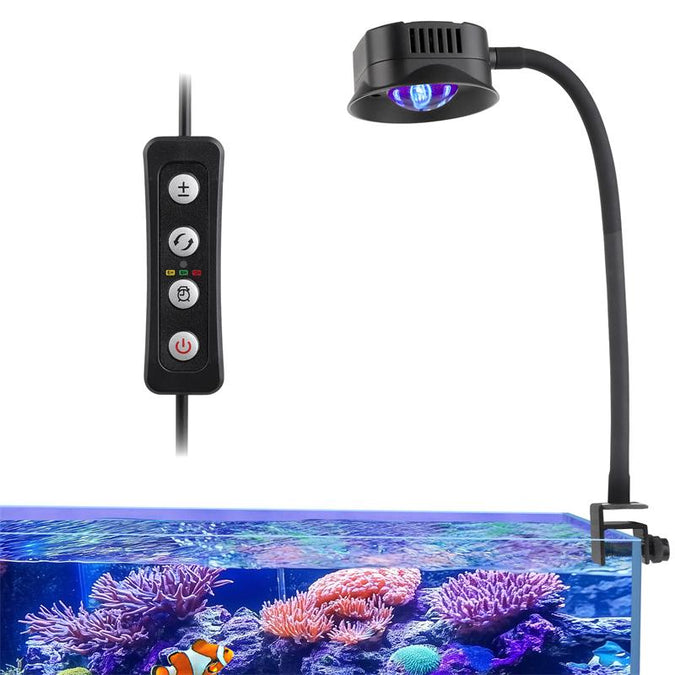 Iluminación para Acuarios Marinos: Cómo Elegir la Luz para tus Corales