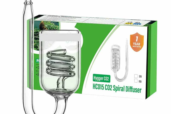 Tu Primer Acuario Plantado: Guía Paso a Paso