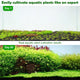 Sustrato Natural para Acuario | Hygger HC002