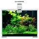 Sustrato Natural para Acuario | Hygger HC002