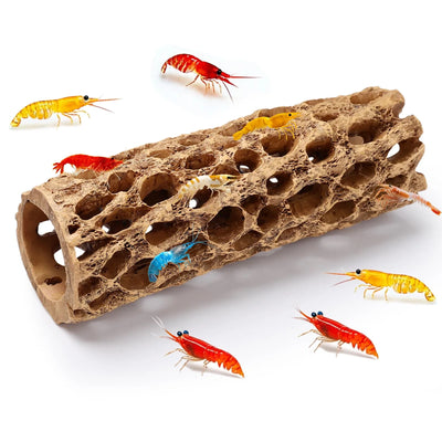 Madera Cholla de Resina para Acuario – Refugio de Camarones | Hygger HC020