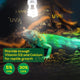 Foco UVB 5.0 Espiral Fluorescente para Reptiles | Hygger HZ003