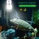 Foco UVB 5.0 Espiral Fluorescente para Reptiles | Hygger HZ003