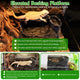 Refugio para Reptiles en Resina | Hygger HZ027