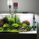 Calentador de Titanio para Acuario | Hygger HG802