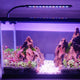 Lámpara Clip LED Mini para Acuario | Hygger HG033
