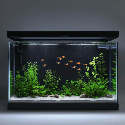 Fondo Adhesivo Electroestático para Acuario | Hygger HC004