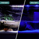 Lámpara LED Espectro Completo para Acuario | Hygger HG058