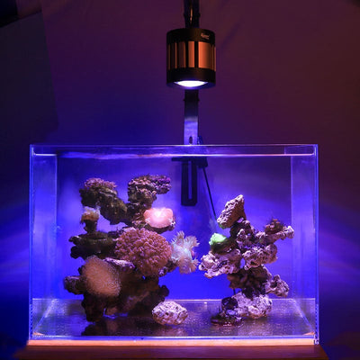 Lámpara LED para Acuario de Agua Salada y Corales | Hygger HG107
