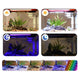Kit de Acuario Inteligente Completo con Pantalla LCD | Hygger HG146