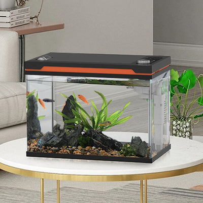 Kit de Acuario Inteligente Completo con Pantalla LCD | Hygger HG146