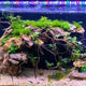 Lámpara LED Sumergible para Acuario Espectro Completo | Hygger HG005