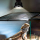 Foco LED UVB para Reptiles Eficiencia Superior | Hygger HZ006