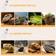 Foco Fluorescente UVB para Reptiles de Cuarzo Premium | Hygger HZ009